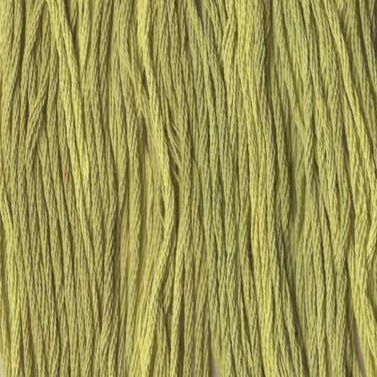 Frog Legs - CCT-211