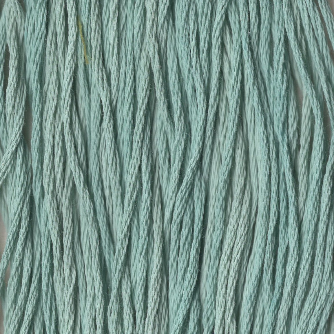 Frosted Sage - CCT-068