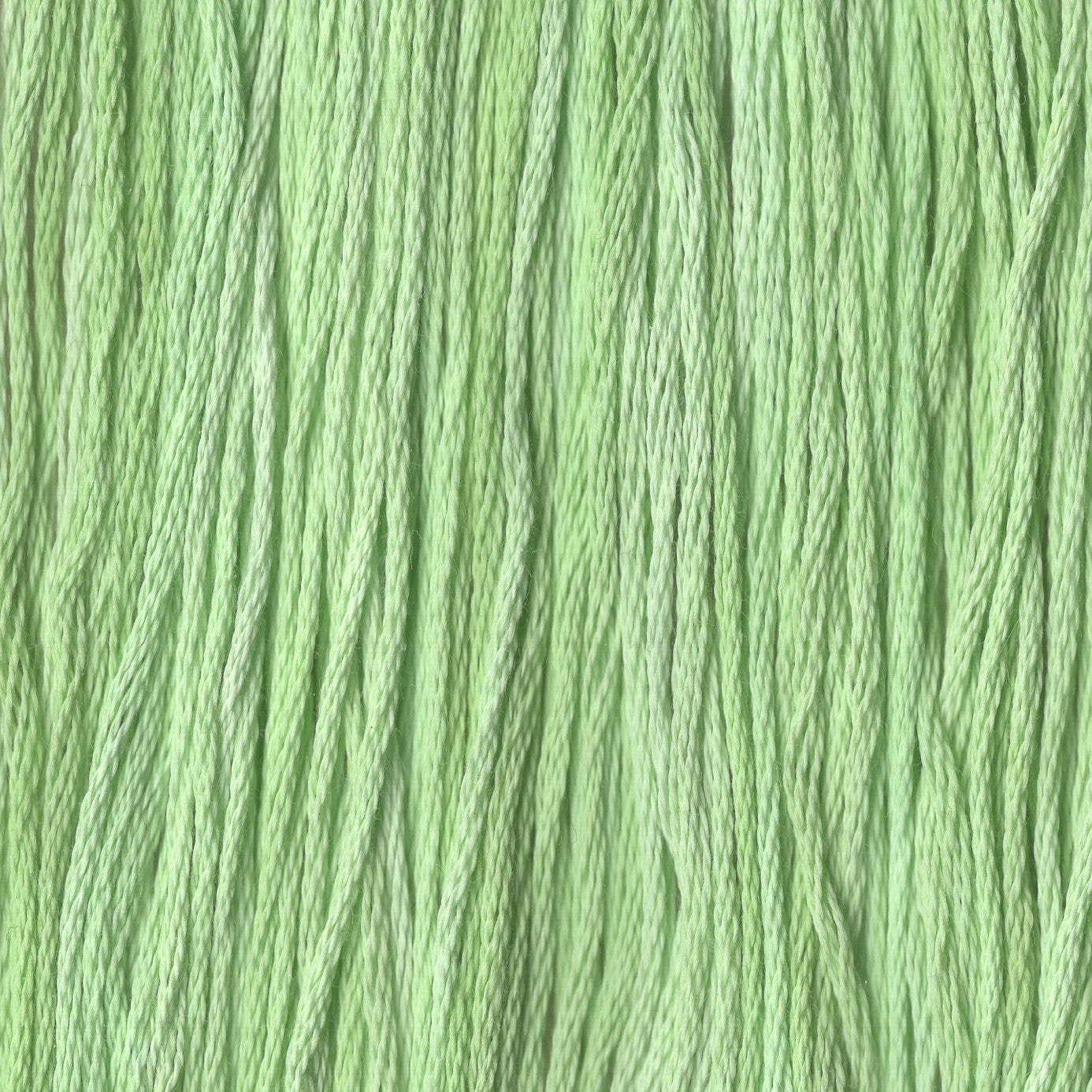 Frozen Margarita - CCT-054