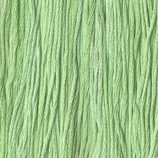 Frozen Margarita - CCT-054