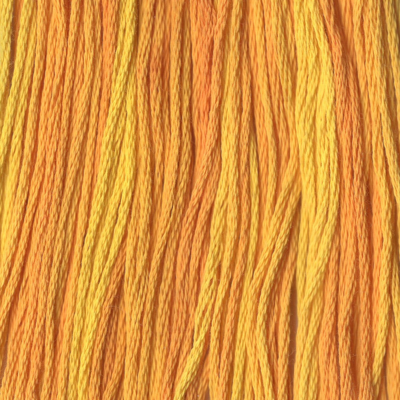 Golden Star - CCT-082