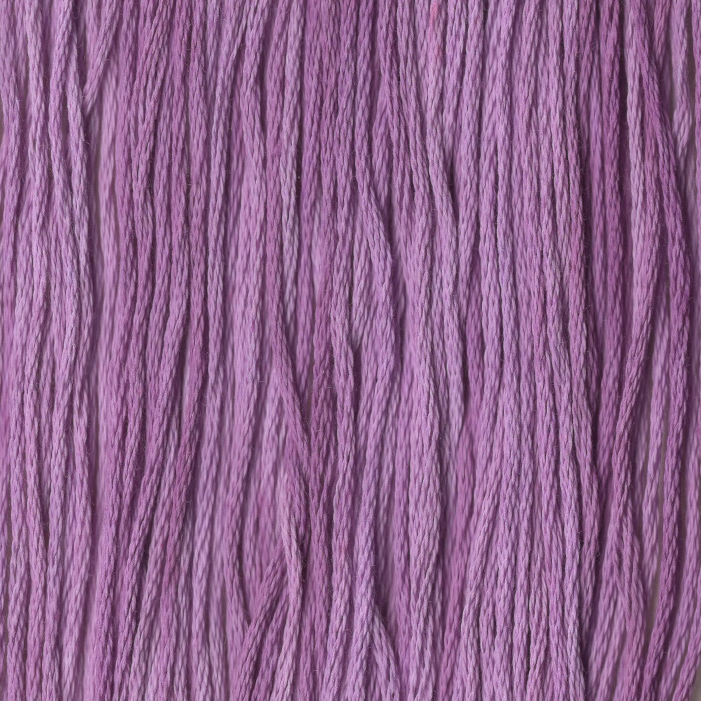Grape Pie - CCT-016