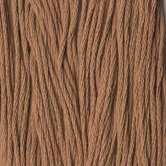 Hazelnut - CCT-219
