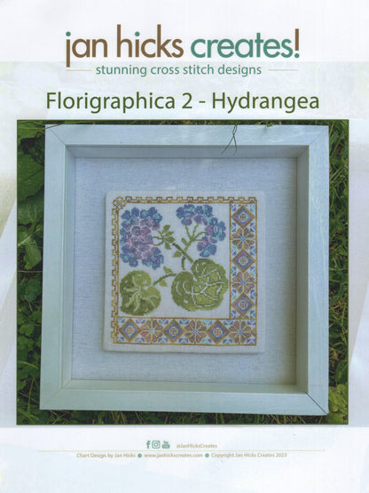 Hydrangea