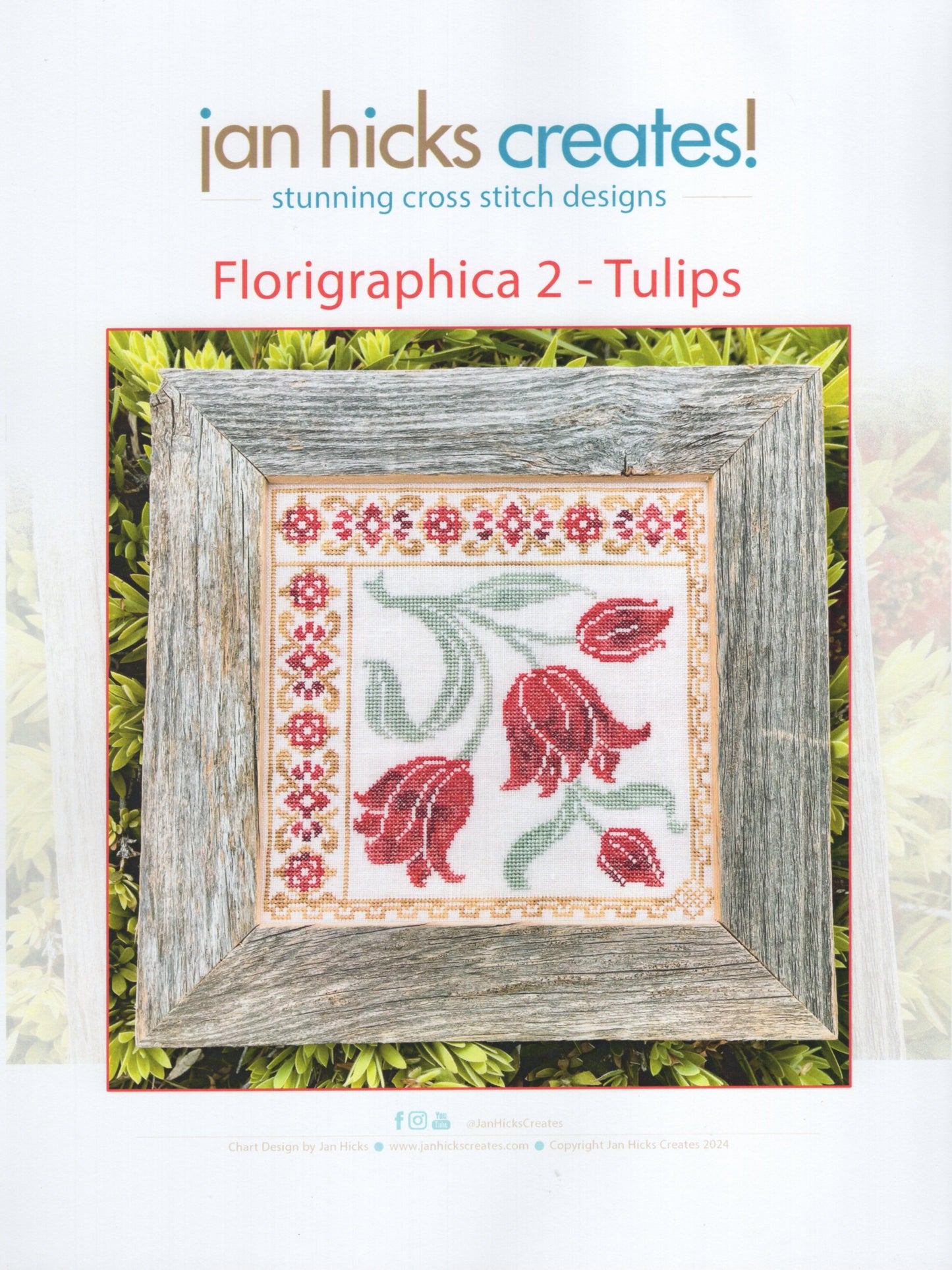 Tulips