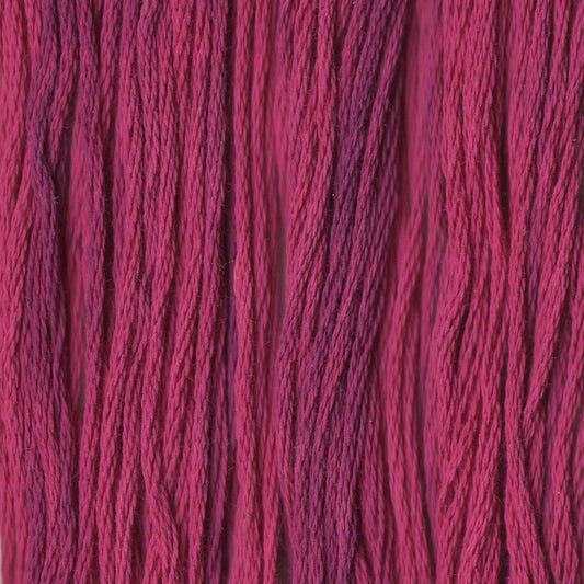 Jelly Roll - CCT-98