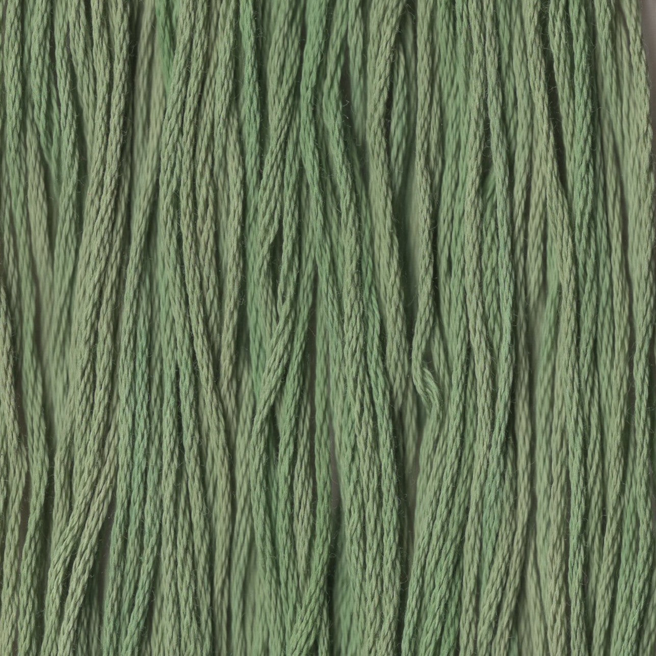 Jolly Holly - CCT-159