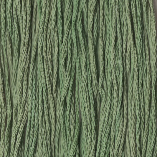 Jolly Holly - CCT-159