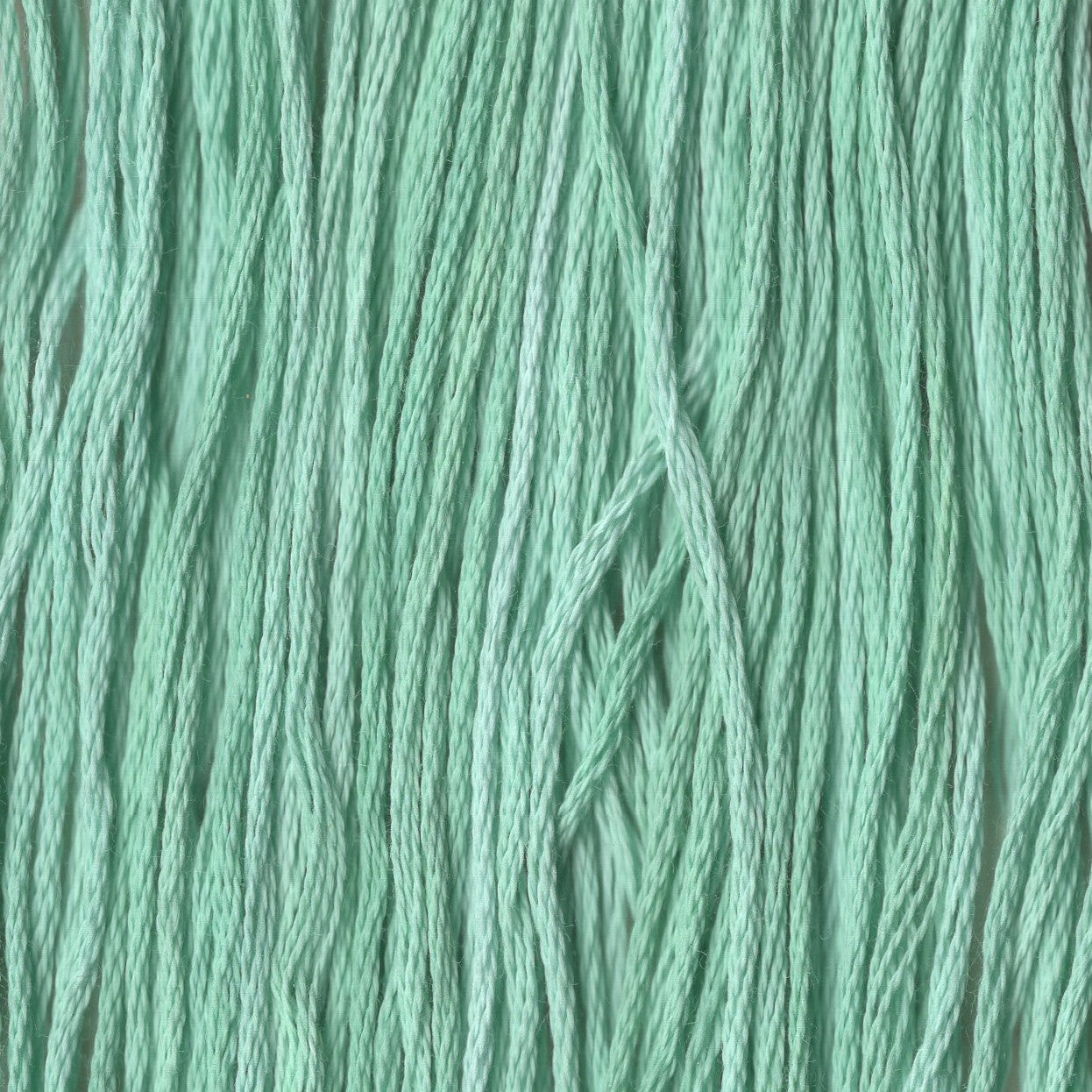 Lettuce Leaf - CCT-020
