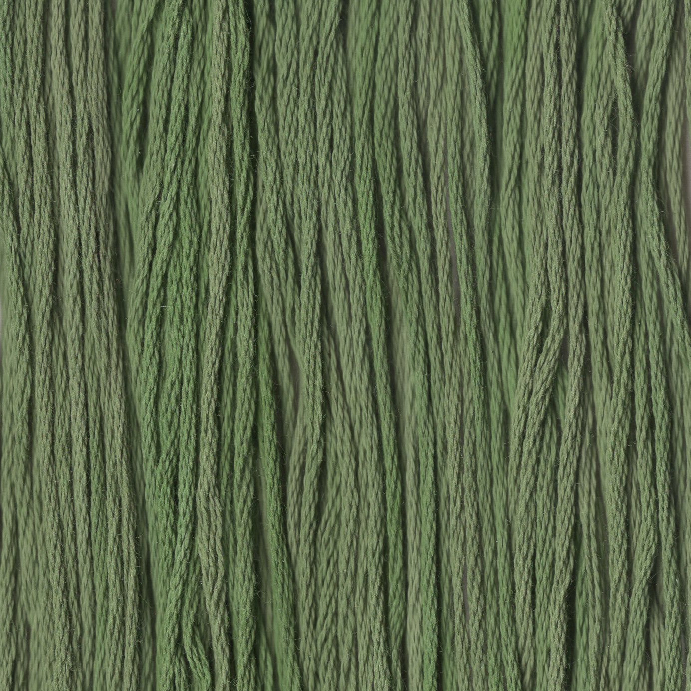 Little Sprout - CCT-259