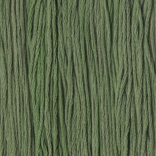 Little Sprout - CCT-259