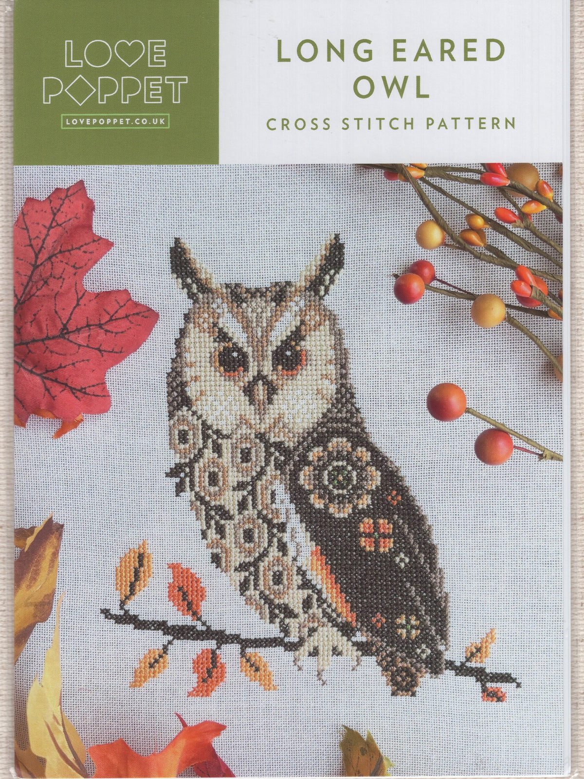 Long Eared Owl