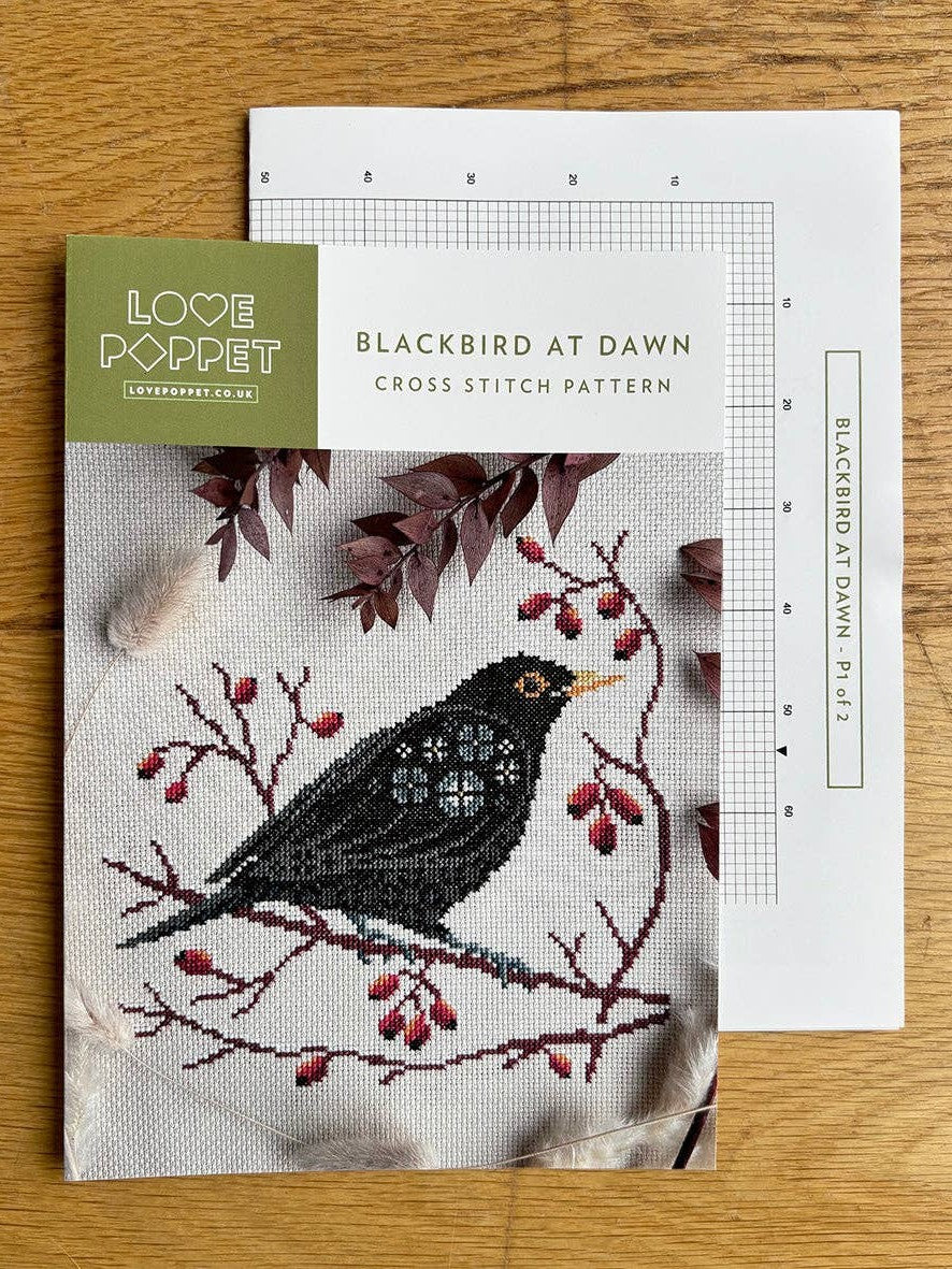 Blackbird at Dawn