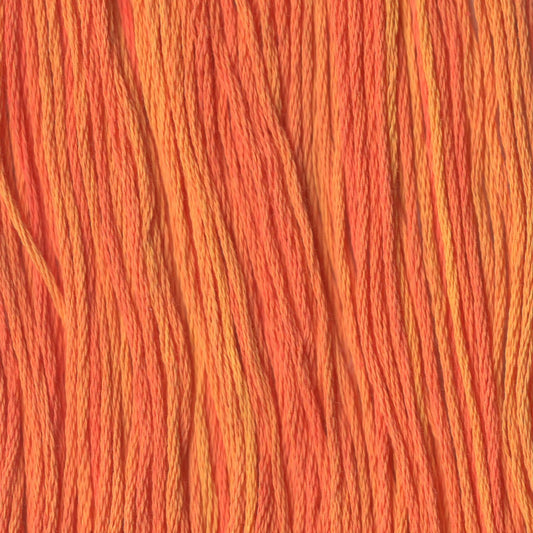 Marmalade - CCT-267