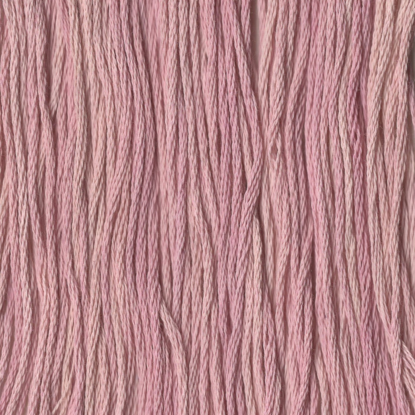Mauvelous - CCT-201
