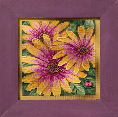 African Daisies (MH14-2521) - kit
