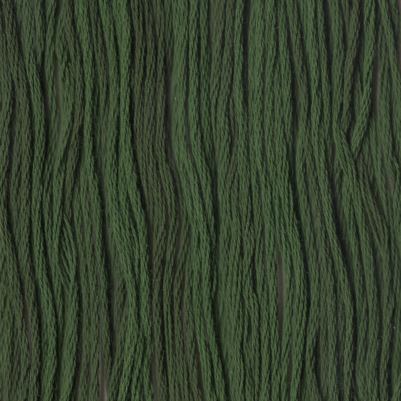 Mistletoe - CCT-242