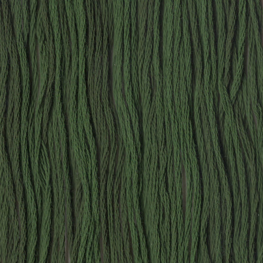 Mistletoe - CCT-242