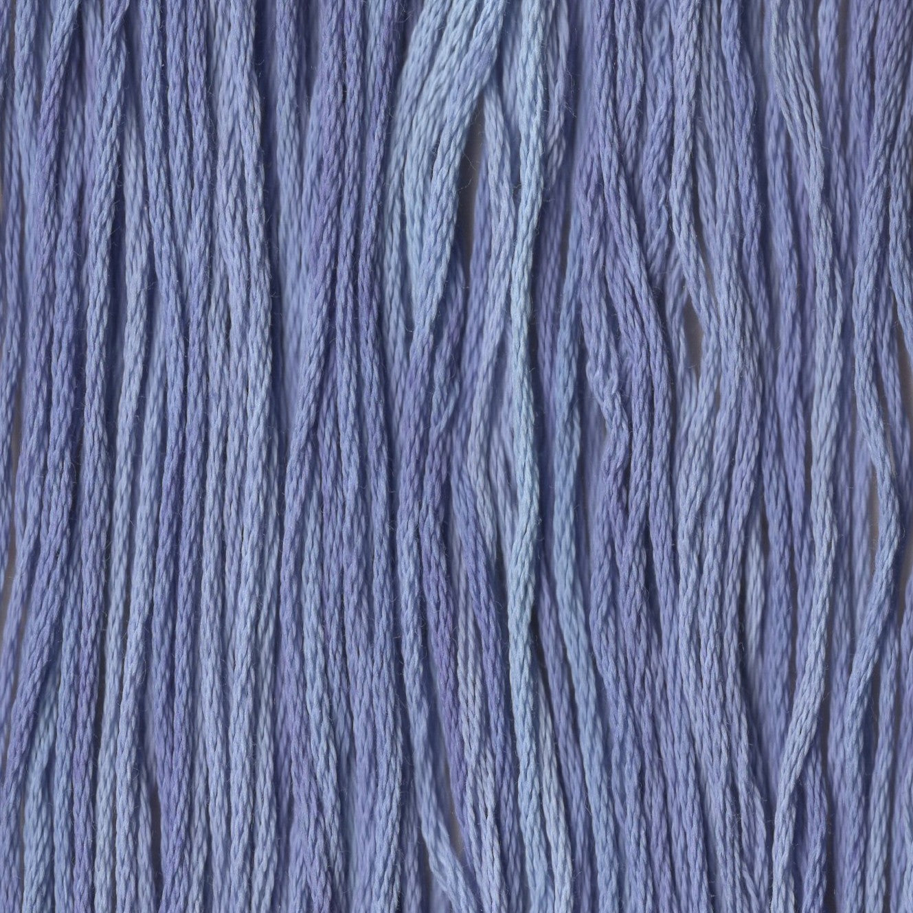 Morning Glory - CCT-206