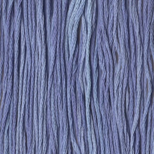 Morning Glory - CCT-206