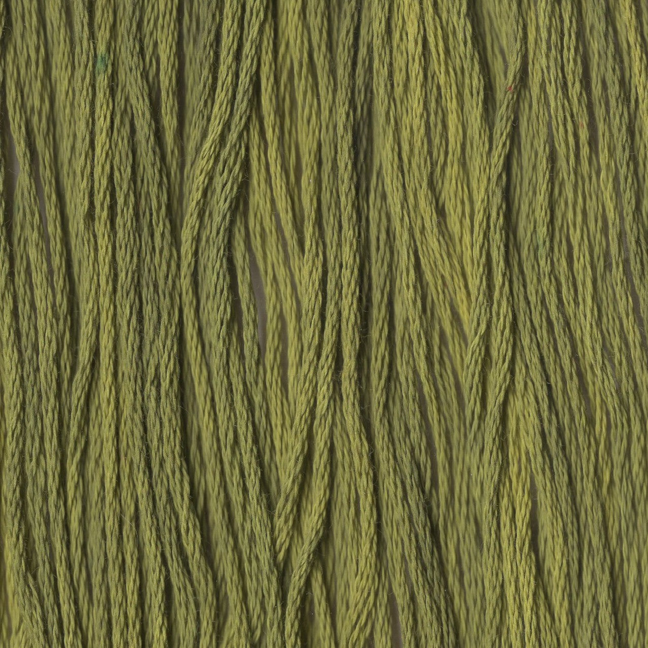 Mossy - CCT-229