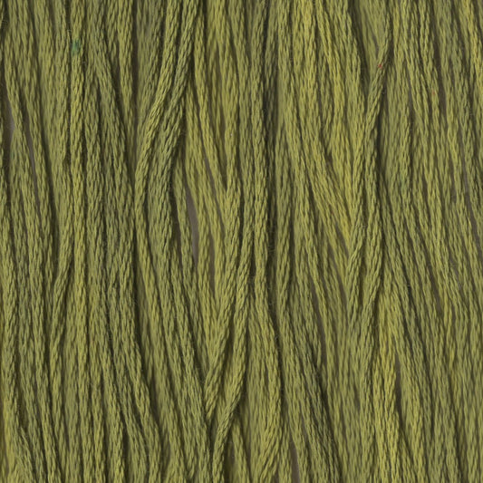 Mossy - CCT-229