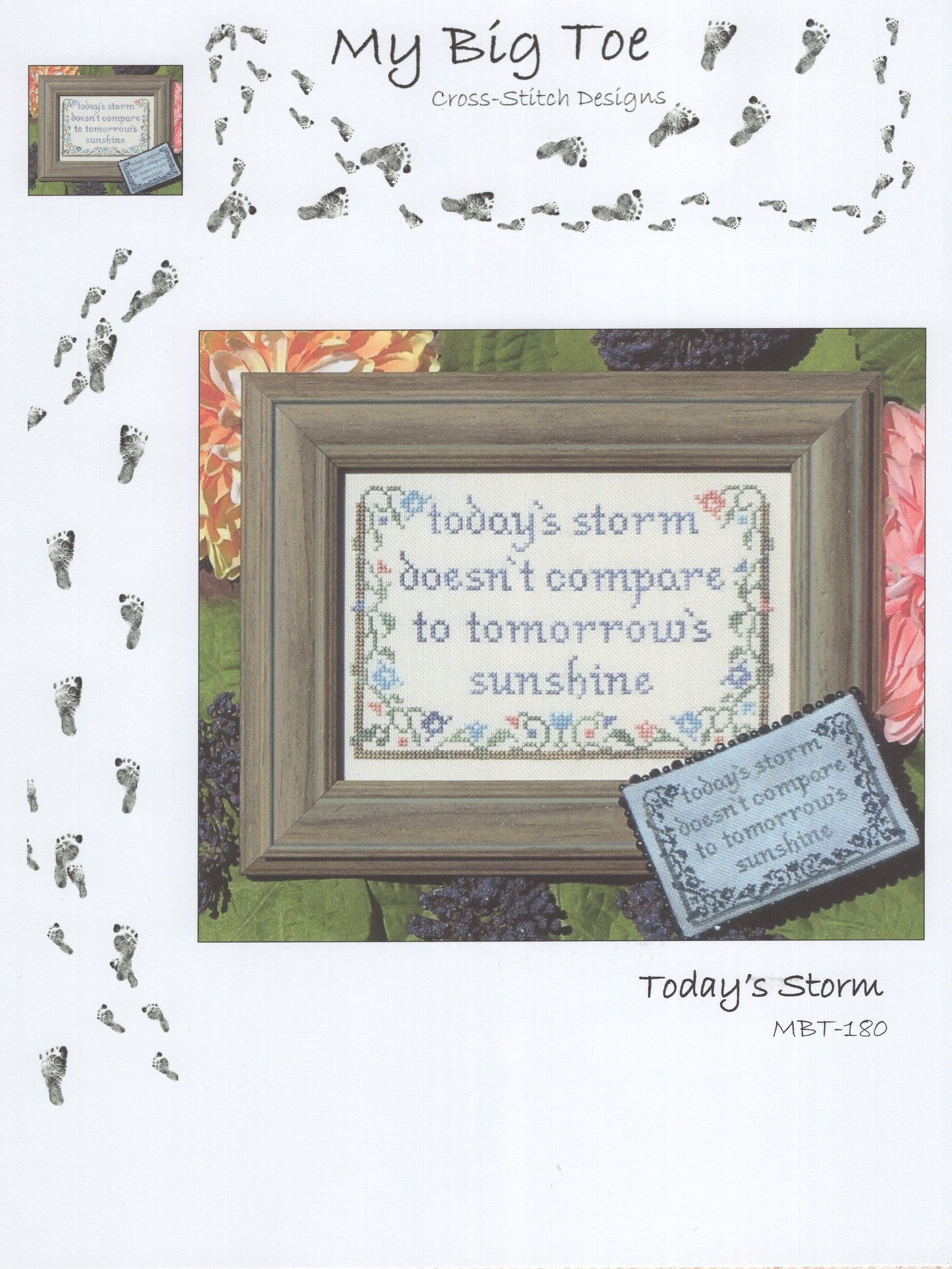 Today's Storm - MBT-180
