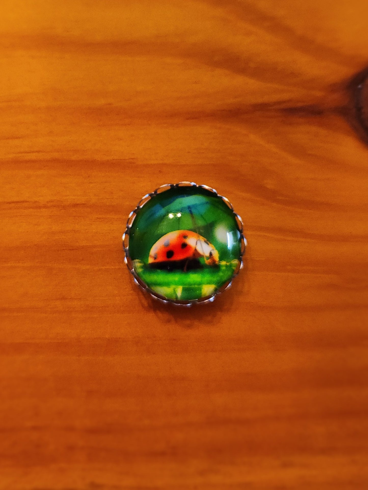 Ladybug Parade needle minder