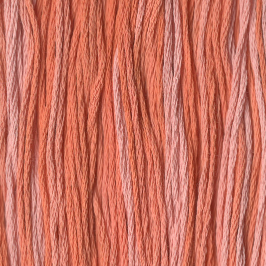 Old Marigold - CCT-085