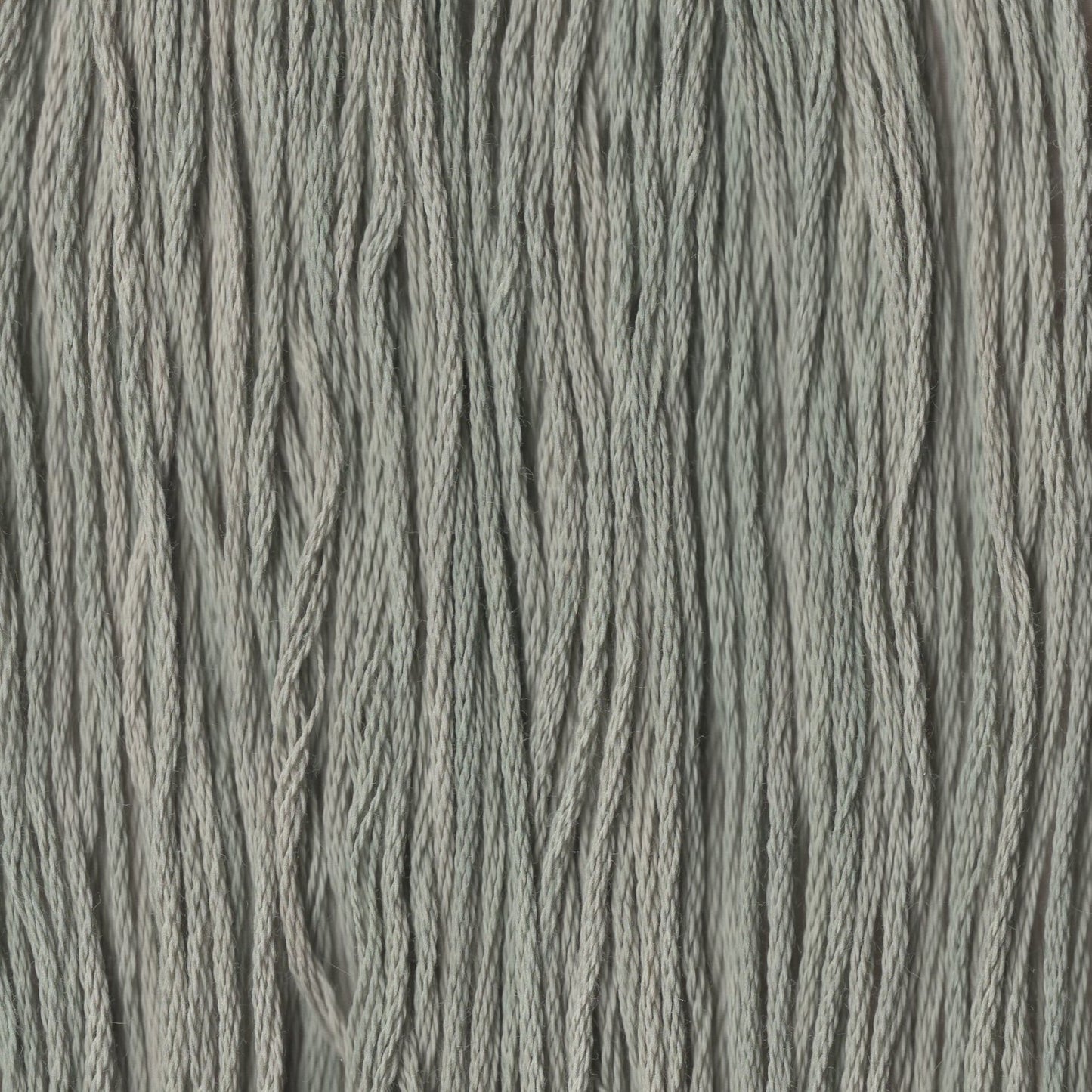 Old Money - CCT-215