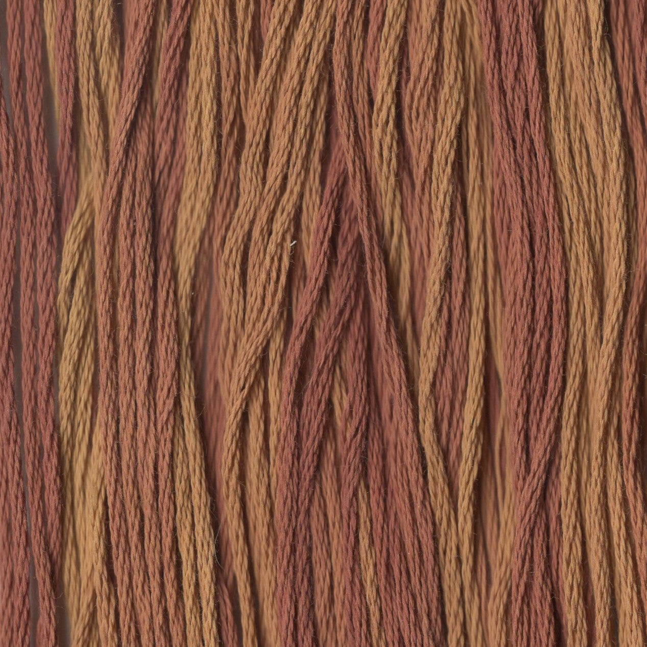 Old Oak Tree - CCT-145