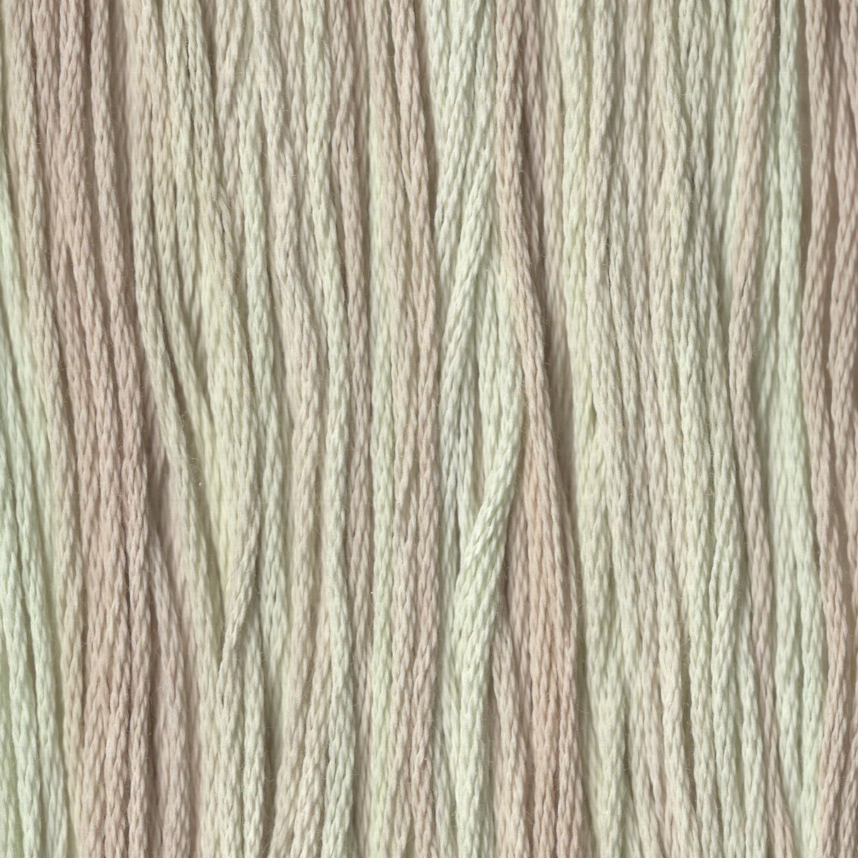 Olive Branch - CCT-152