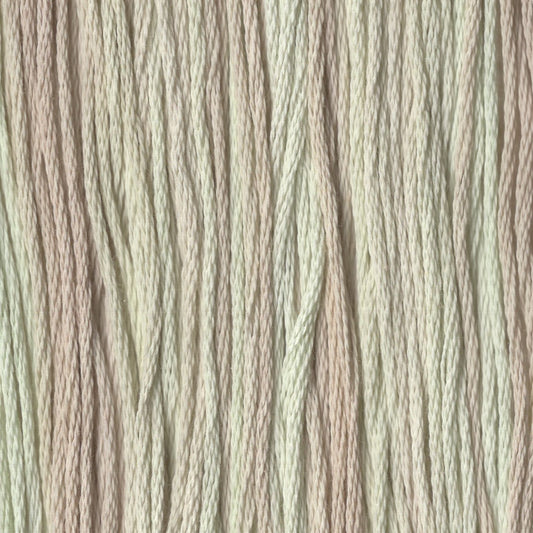 Olive Branch - CCT-152