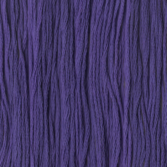 Pansy Purple - CCT-102