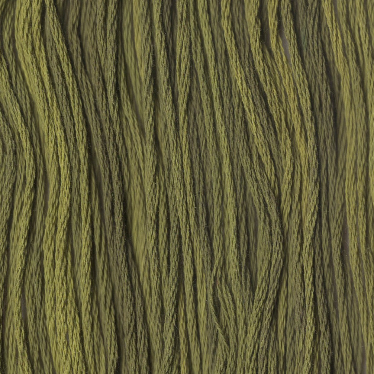 Pea Pod - CCT-183
