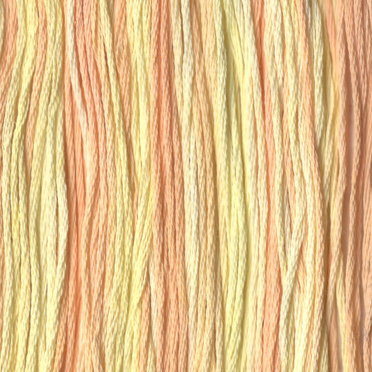 Peach Sherbet - CCT-023
