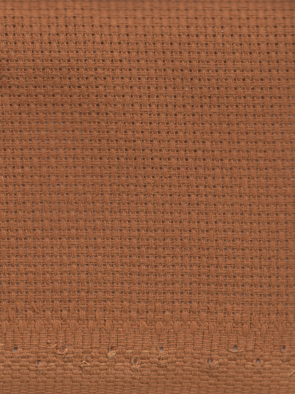 Pecan - 16 count - Aida