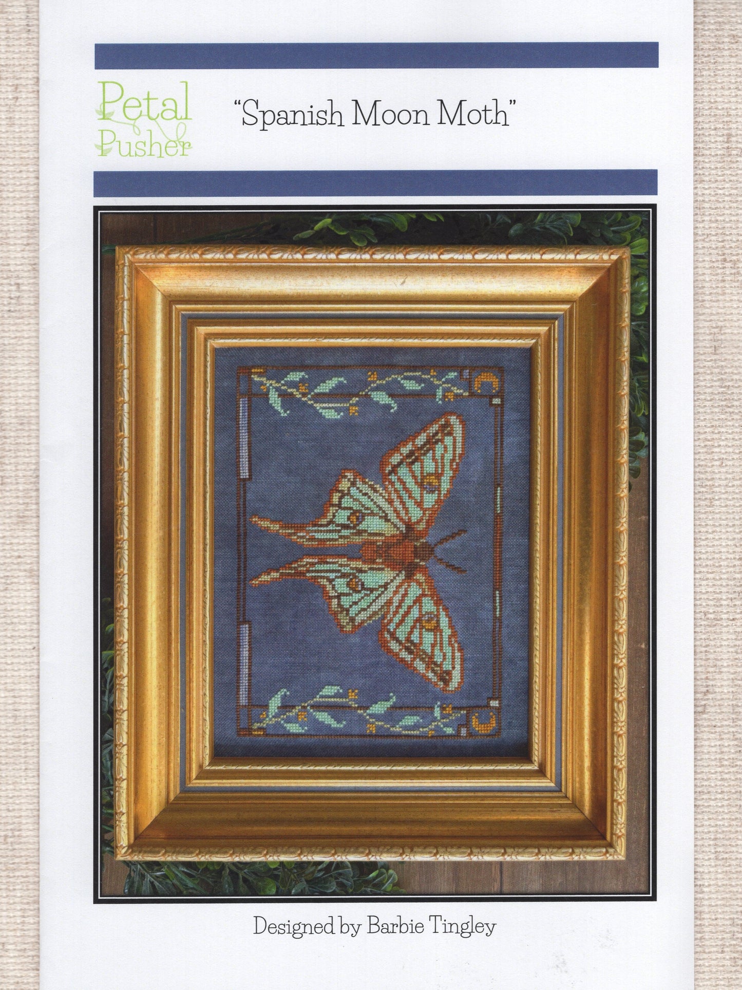 Spanish Moon Moth
