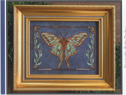 Spanish Moon Moth
