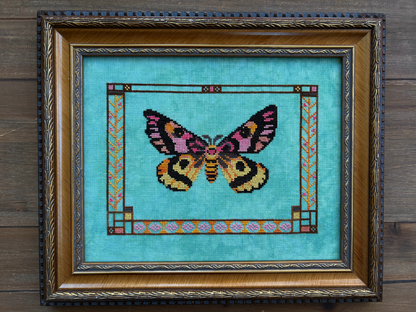 Western Sheep Moth