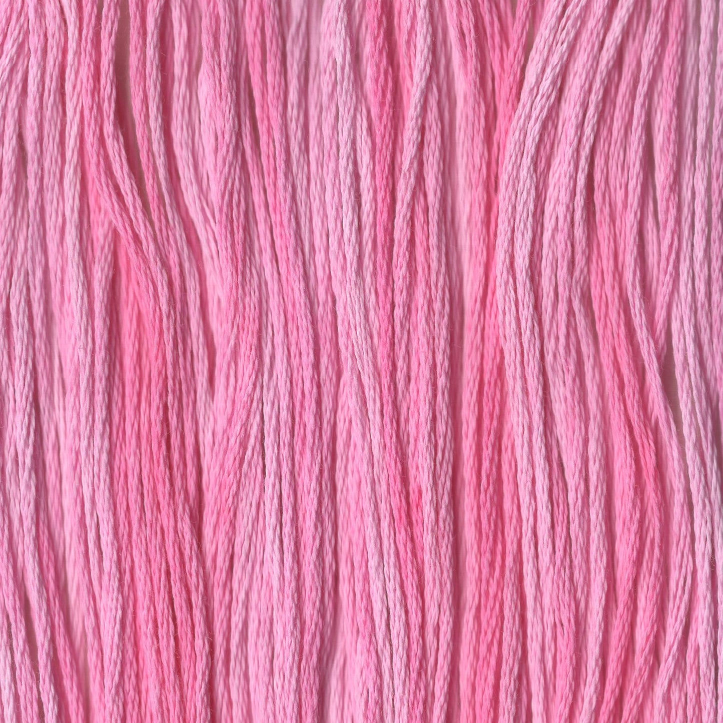 Pink Champagne - CCT-056