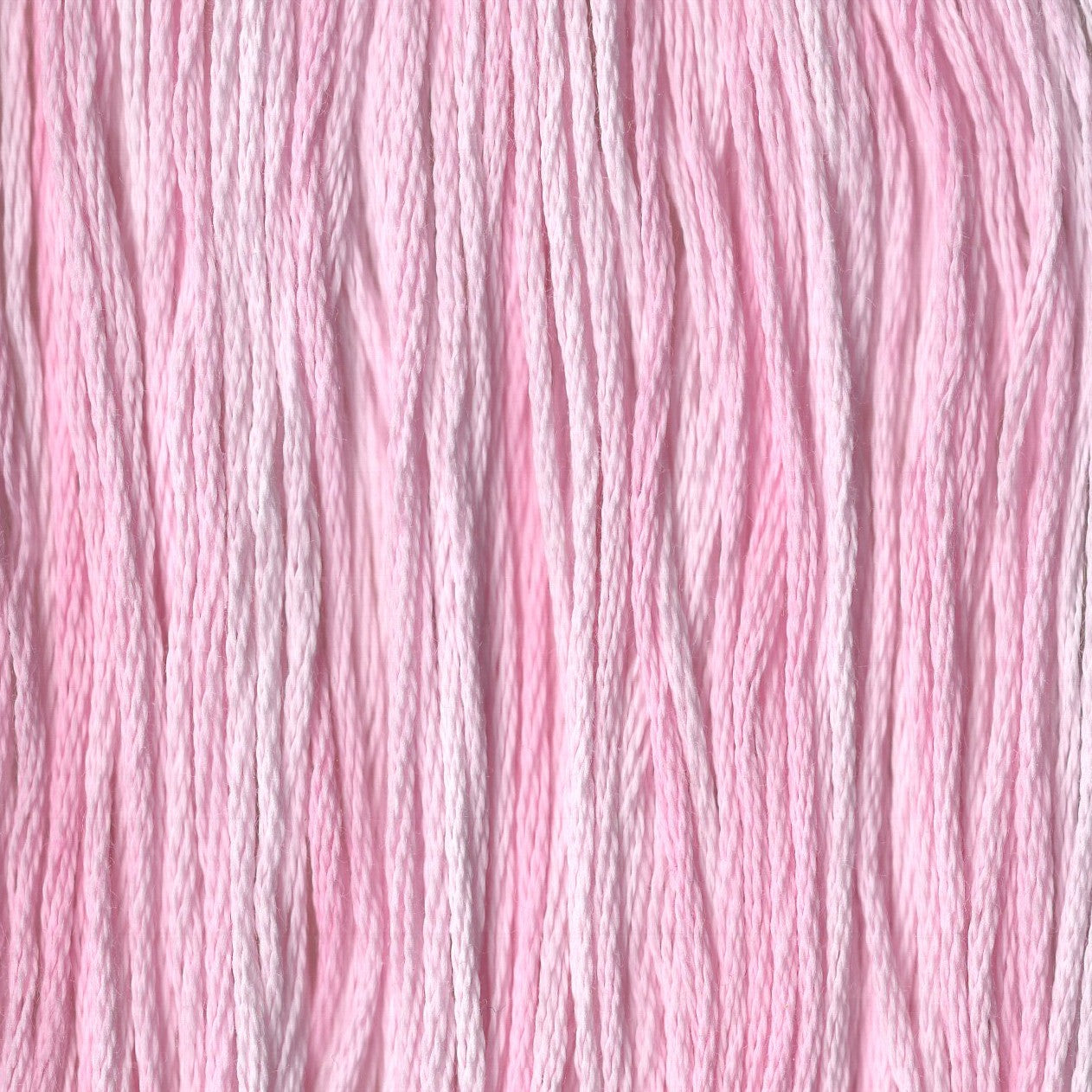 Pink Posey - CCT-024