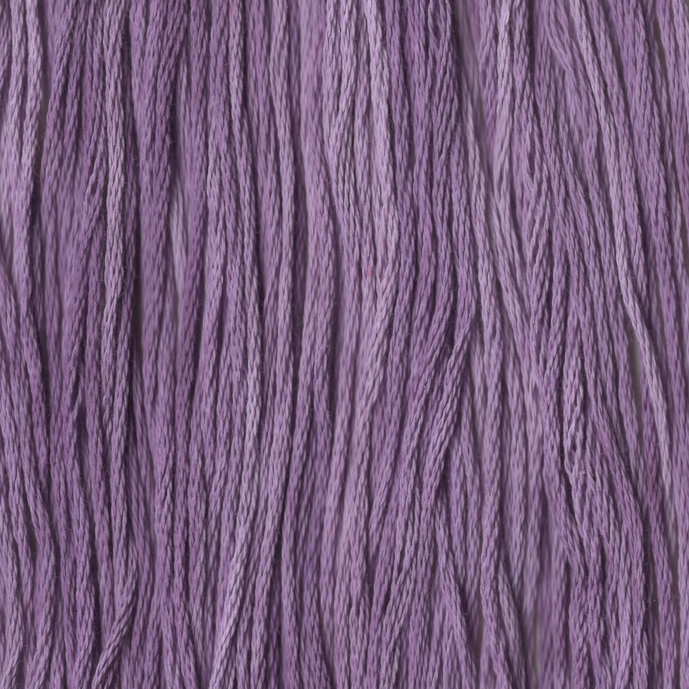 Plum Paisley - CCT-149