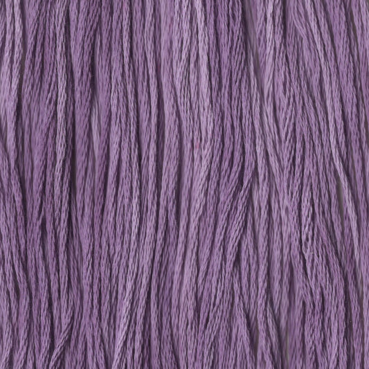 Plum Paisley - CCT-149