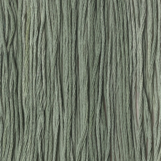 Poblano Pepper - CCT-069