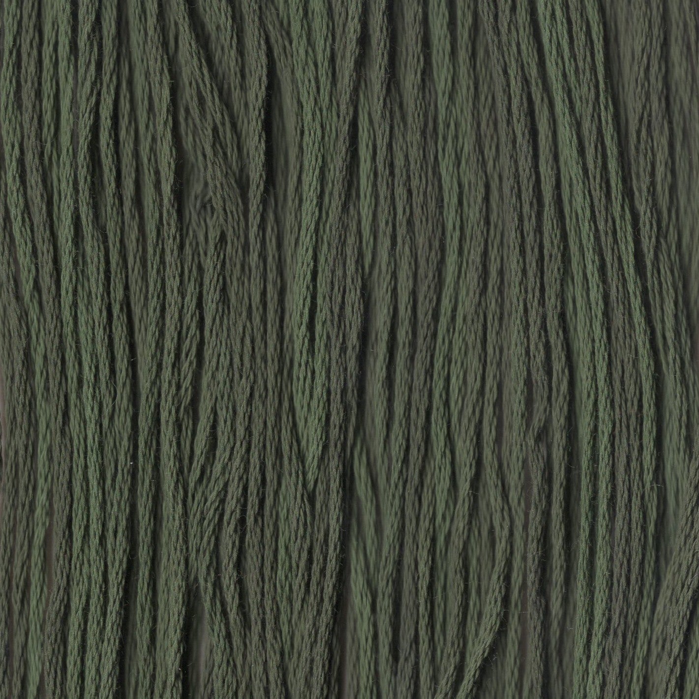 Ponderosa Pine - CCT-283