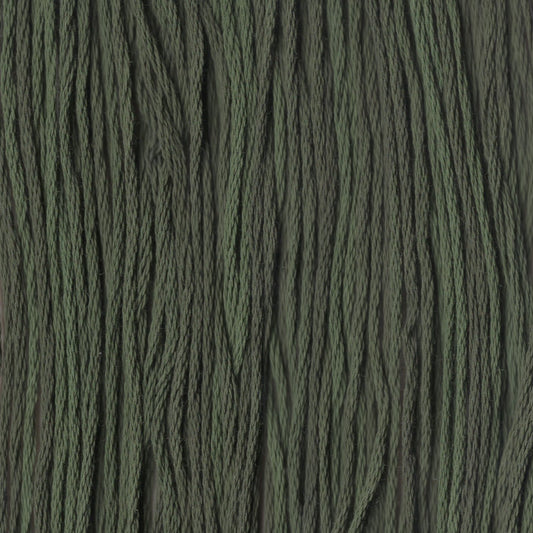 Ponderosa Pine - CCT-283