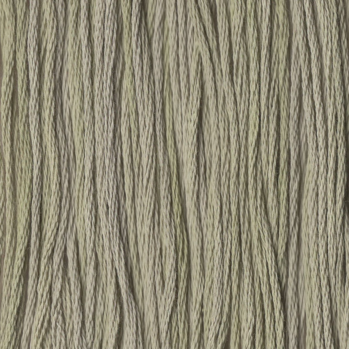 Prairie Grass - CCT-236
