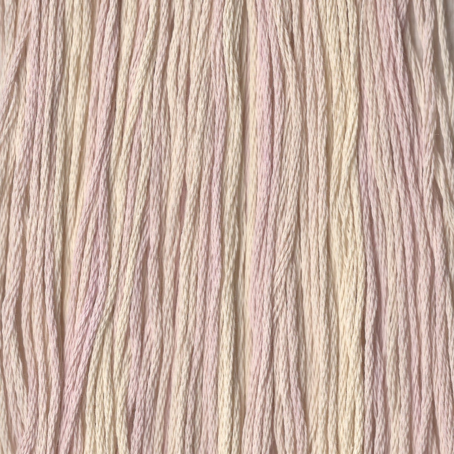 Purple Toile - CCT-058