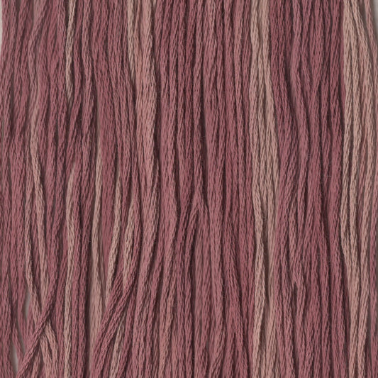 Ripple - CCT-086